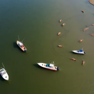 Shrimp boats at North Carolina coastline