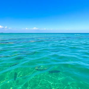 A beautiful view of Dare County's coastline, showcasing its natural beauty.