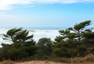 Rough seas and swaying trees in the Outer Banks during a windstorm