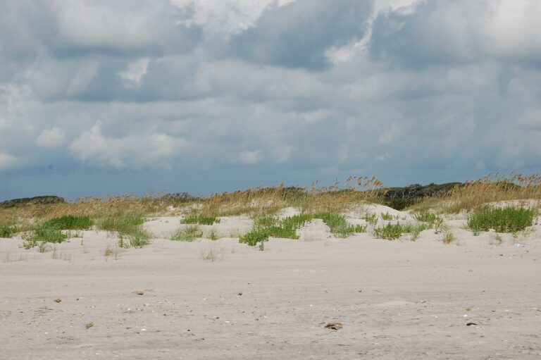King Tides Bring Flooding Risk to Outer Banks as NC 12 Stays Shut